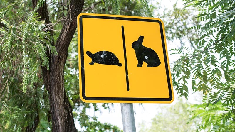 Sign about rabbits and turtles in park.