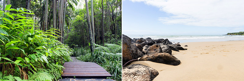 Gladstone's beautiful beaches and nature retreats such as the Tondoon Botanic Gardens.